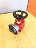 Bouche d'incendie d'intérieur du fournisseur de la Chine SNW65-I le prix concurrentiel d'équipement de lutte contre l'incendie de haute qualité