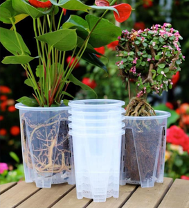 4 5.5 7 इंच मोटी प्लास्टिक साफ पारदर्शी गोल फलानोप्सिस ऑर्किड का सांस फिसलने वाला उद्यान संयंत्र ऑर्किड पॉट - Product Image 4