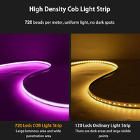 Bande LED COB flexible multicolore adressable haute densité 24V RGBIC WS2811 8mm/10mm/12mm sans points