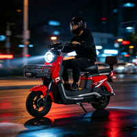 Nouveau Vélo Électrique Urbain Adulte 2026 avec Panier Avant et Dossier Arrière, Longue Autonomie