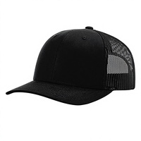 Topi Bisbol Snapback Trucker yang Dapat Disesuaikan, Panel Belakang Berjaring, Desain Terpisah, Bernapas, Satu Ukuran Cocok untuk Kebanyakan Pria Wanita