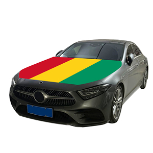Couverture nationale de capot de voiture abordable drapeau guinée couverture de moteur de voiture drapeau vente directe d'usine tissu polyester - Product Image 1