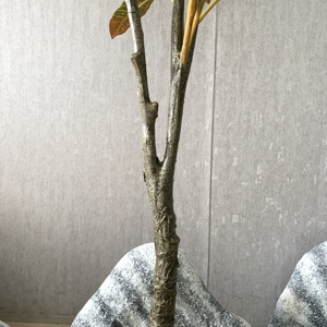 ต้นไม้ปลอม7ft ขนาดเล็ก2ft ใหญ่เกือบเป็นธรรมชาติ2.1ม. - Product Image 4