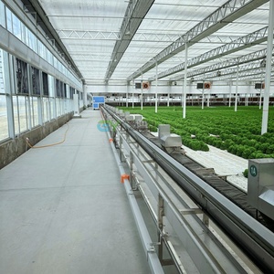 Serre commerciale anti-vent et résistante au gel, <span class=keywords><strong>prix</strong></span> usine, fabrication chinoise pour l'horticulture néo-zélandaise - Product Image 2