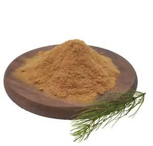 Kozmetik için saf doğal atkuyruğu özü 10:1 20:1 30:1 50:1 atkuyruğu çim özü - Product Image 2