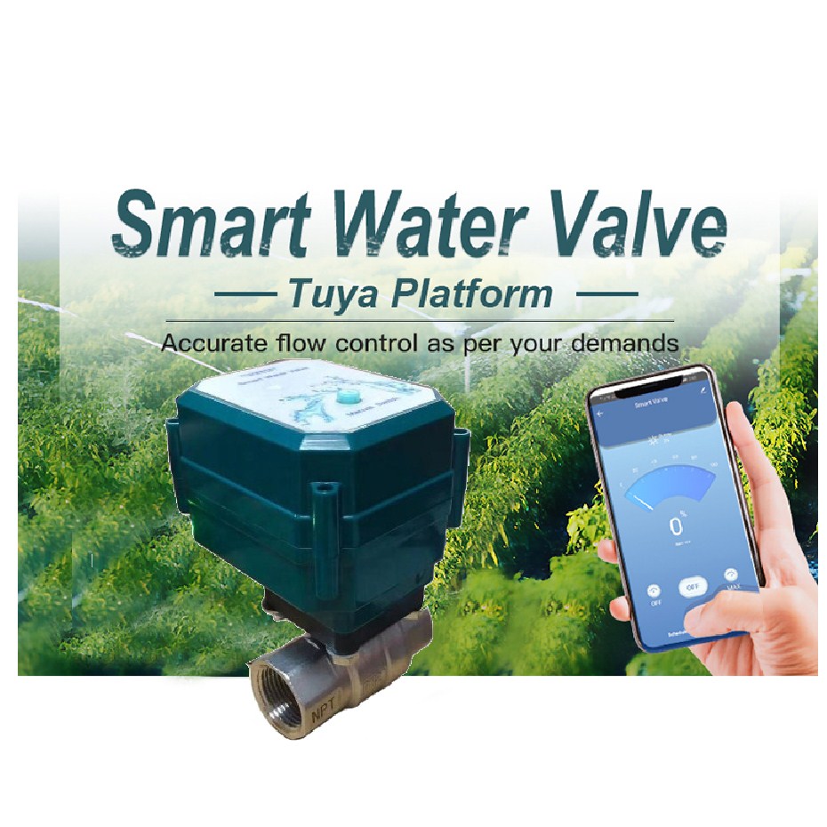 Valvola di valvola a sfera wifi intelligente automatico in acciaio inox ottone BSP NPT motorizzato di controllo di flusso intelligente wifi valvola di intercettazione dell'acqua