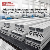 Usinage CNC de profilés en aluminium industriels sur mesure |   Pièces d'extrusion en aluminium usinées de haute précision pour équipements d'automatisation