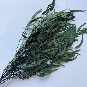 Feuilles d'eucalyptus séchées en gros d'usine 120g/lot, eucalyptus préservé et saule grainé pour arrangements floraux - Product Image 1