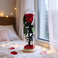 Rose éternelle artisanale en tube de verre, boîte cadeau romantique, longue durée (3-5 ans), mariage, Saint-Valentin