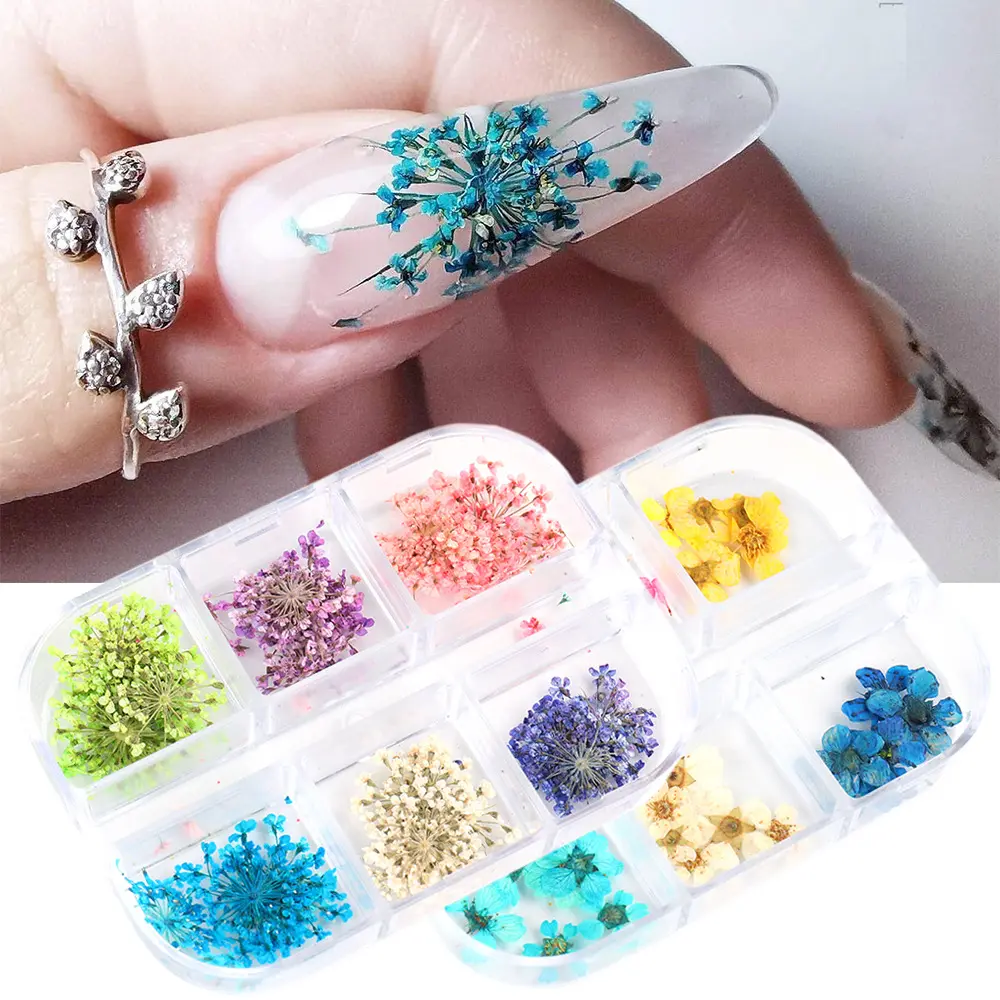 6 grid natural real dry flower 3d diy dried flowers charm pressed UV gel decoration manicure nail flowers