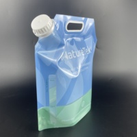 Pochettes souples 5L avec bec verseur, sacs à boisson verticaux de type gallon, sacs en plastique refermables avec poignée