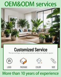 Árbol Bonsái de Olivo Artificial Realista de 230 cm, Plástico, para Interiores, Hogar u Oficina, Decoración Moderna de Alta Calidad - Product Image 5