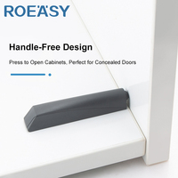 ROEASY Amortisseur de porte coulissante d'armoire en plastique de vente chaude pour amortisseur à fermeture douce, tampon d'amortisseur de porte d'armoire en plastique pour meubles