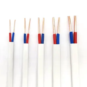 De alta calidad de PVC con aislamiento de cobre plana doble núcleo de alambre