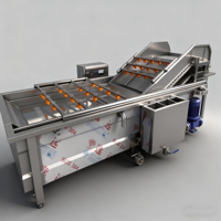 Food-Grade Fruitgroente Verwerkingslijn-Citrus Wassen Wassende Wasdroogmachines