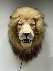 Modèle réaliste de Simulation de tête de Lion Animatronic pour <span class=keywords><strong>exposition</strong></span> - Product Image 2