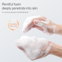 Produit populaire Marque distributeur Crème moussante anti-acné Nettoyant hydratant pour le visage Vitamine C naturel Nettoyant visage Peaux sensibles pour peaux grasses