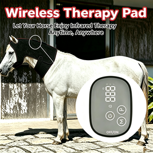 Pawbrio PB05 660nm 850nm Coussin de thérapie LED infrarouge pour chats, facile à utiliser, soulagement de la douleur, cicatrisation des plaies - Product Image 4