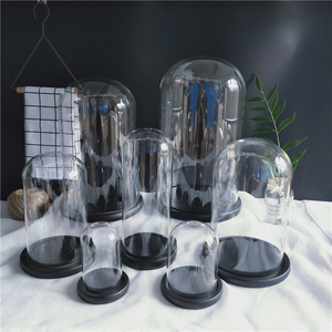 Cloche claire faite main <span class=keywords><strong>de</strong></span> dôme d'affichage <span class=keywords><strong>en</strong></span> <span class=keywords><strong>verre</strong></span> <span class=keywords><strong>de</strong></span> Borosilicate avec la base <span class=keywords><strong>en</strong></span> bois - Product Image 1