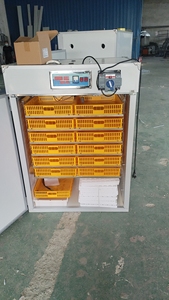 Nouvelle couveuse à œufs <span class=keywords><strong>Gongle</strong></span> GL-1056 avec panneau isolant en acier coloré 100-300W, machine d'incubation en gros pour poulets, canards et oies - Product Image 3