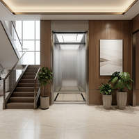 Ascensore a Trazione in Acciaio Inox per Villa, Personalizzabile, Capacità di Carico 260-400KG per 3-5 Passeggeri, Garanzia di 2 Anni G12/G15