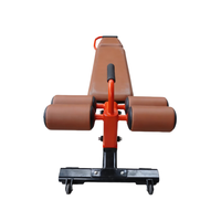Banc de musculation commercial réglable pour extensions dorsales et abdominaux