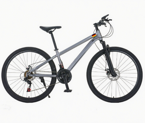 Bán Buôn Dài Khoảng Cách Đi Bộ Xe Đạp Leo Núi Cho Nam Giới Phụ Nữ Hấp Thụ Sốc Xe Đạp Với Tốc Độ Biến Thép Ngã Ba Món Quà Hoàn Hảo - Product Image 2