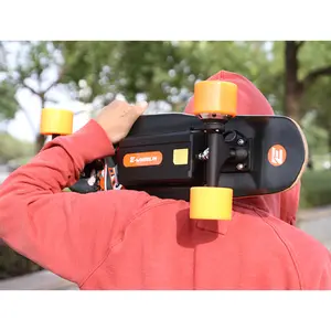 Hot Koop Kwaliteit 300W Alle Terrein Longboard Motor Elektrische Skateboard Te Koop