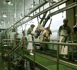 Macellazione di rotolamento carne appeso trolley ganci/apparecchiature macellazione ganci per la carne di Pecora - Product Image 2