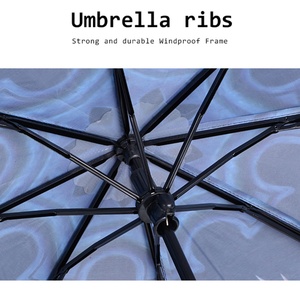 New Design 3-fold Manual Iron <b>Frame</b> Glass Fiber Ribs Compact Portable Windproof Vented Umbrella Full Printed Flower Pattern - Product Image 3