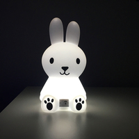 Lampe de bureau LED rechargeable, lampe à changement de couleur RVB, batterie intégrée, luminaire, produits rotomoulés, rotomoulage