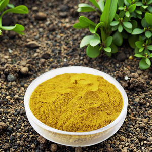 Fer EDDHA-FE6 6, prévention des chutes de feuilles contre le jaunissement, supplément de fer <span class=keywords><strong>universel</strong></span> pour plantes - Product Image 5