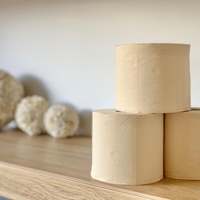 Perlengkapan kertas Toilet bambu ramah lingkungan: pilihan Label pribadi + sampel gratis