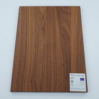 Panneau décoratif minimaliste en placage de bois naturel préfini Golden Chameleon, finition laquée Excimer, écologique, durable, de qualité supérieure