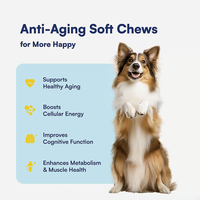 Friandises personnalisées pour la longévité des chiens - Complément anti-âge pour la santé des animaux de compagnie avec NMN et resvératrol, supplément vitaminique pour chats OEM