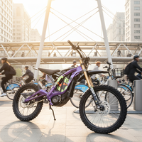 Sur Ron Light Bee X Elektrisches Dirt Bike 8000W Dirt Bike Gonped Light Bee X 2025