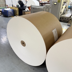 Rouleau de papier couché PE blanc pour gobelets et bols à salade, prix usine Chine, pour machines de fabrication de gobelets à café - Product Image 2