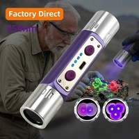 Lampe torche UV LED à ondes courtes 254nm 365nm 395nm, IP44, rechargeable, portable, pour la détection de billets de banque et la fluorescence des animaux de compagnie