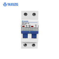 Disjoncteur miniature 2P 63A 230V Type C 6kA pour la protection des boîtiers d'éclairage et de distribution