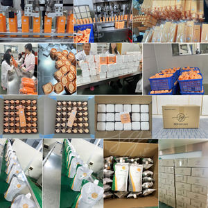 SG saç bakımı saç restorasyon krem biyotin maskesi ve kollajen ve keratin guangzhou protein şampuan - Product Image 5