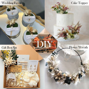 Naturellement Mini Bouquet de Fleurs Séchées DIY pour Décoration de Table Boîte aux Lettres Cadeau Boutonnière Boho Gâteau Fleurs - Product Image 6