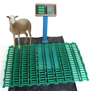 Equipo para Granjas Caprinas, Piso <span class=keywords><strong>de</strong></span> Plástico Ranurado para Cabras, <span class=keywords><strong>Precio</strong></span> 100*60cm, Piso <span class=keywords><strong>de</strong></span> Plástico Ranurado para Cría <span class=keywords><strong>de</strong></span> Ovejas - Product Image 1