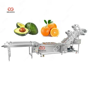 Gelgoog Fruit And Veggie Washing Cleaning Cleaner Machine Fruit Washing And Packaging Equipment Fruit Vegetable Wash Machine