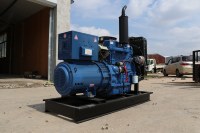 Groupe électrogène à châssis ouvert robuste 250 kVA à fonctionnement continu pour la sauvegarde des centres de données