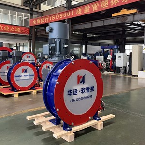 20+ Jahre Herstellererfahrung: Industrielle Schlauchpumpe, Peristaltische Quetschpumpe für Bergbau-Schlammtransfer - Product Image 5