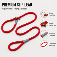 Meilleure laisse réglable de luxe pour chien, idéale pour la traction. Laisse robuste et amortissante pour la marche et les activités de plein air.