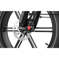 Vélo cargo électrique KOOLUX X9 PRO 20 pouces avec moteur arrière - Cadre en acier, moteur sans balais 250W, autonomie 100-180 km