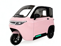 Moto électrique chinoise ELION A5 avec cabine, tricycle à passagers, scooter à trois roues