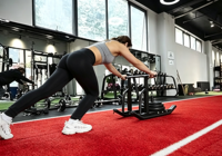 Gazon artificiel de haute densité pour salle de sport, 15 mm, anti-abrasion, piste de sprint pour luge, tapis de sol pour salle de sport intérieure