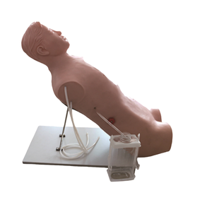 Mannequin d'entraînement à la ponction thoracique ADA CK818/CK819 en PVC médical pour la cavité thoracique, ponction d'abcès hépatique, simulation de ponction thoracique - Product Image 5